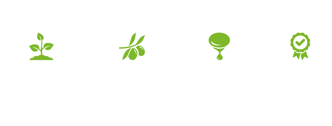 Frantoio Malavalle | Olio creato con passione